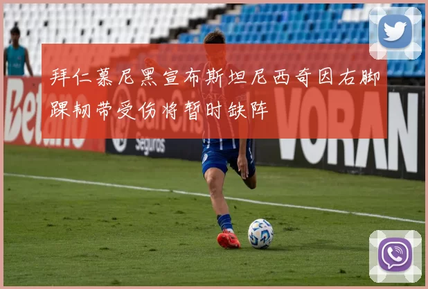 拜仁慕尼黑宣布斯坦尼西奇因右脚踝韧带受伤将暂时缺阵