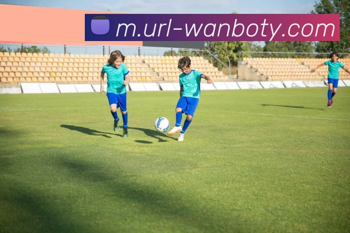 万博体育平台生态图