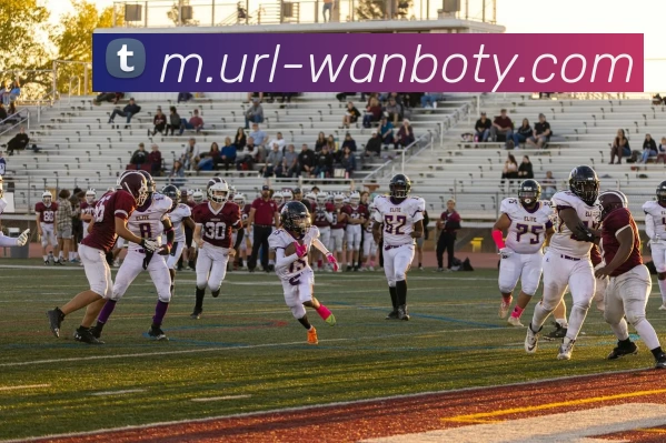 数据防护可视化